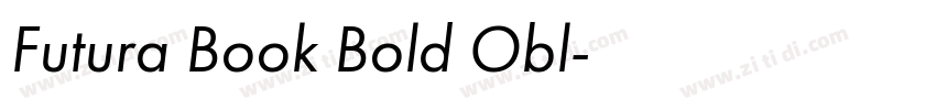 Futura Book Bold Obl字体转换